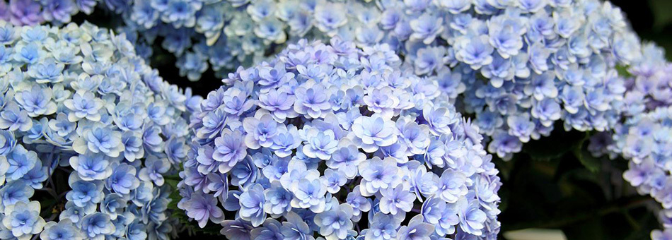 地球と私たちの未来のために。大切な資源のリサイクル。