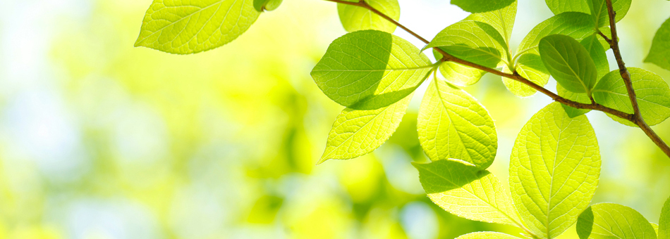地球と私たちの未来のために。大切な資源のリサイクル。